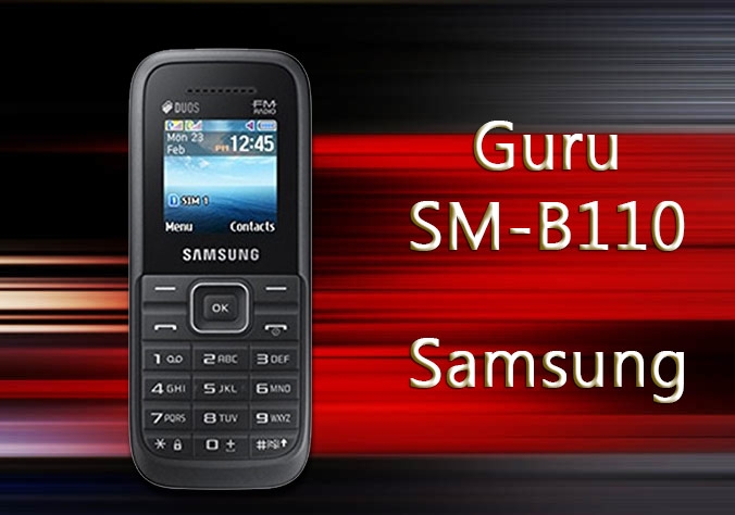 Samsung Guru SM-B110